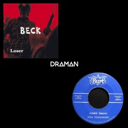Funky Loser (Beck vs. Soul Toranodoes)