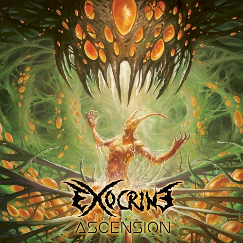 Ascension