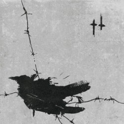 Death Is a Bird Flying