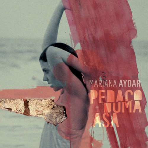 Pedaço duma asa