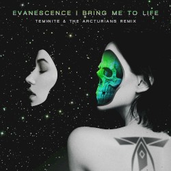 Bring Me To Life