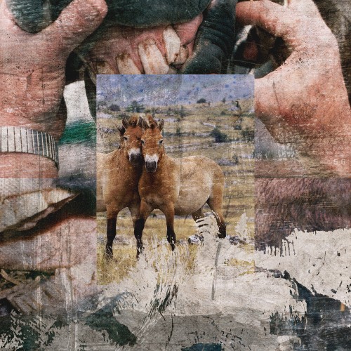 What This Horse Told Me in Heaven Will Melt Your Heart