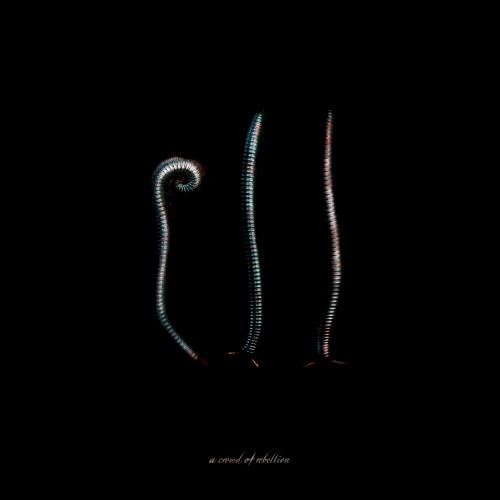 Ill