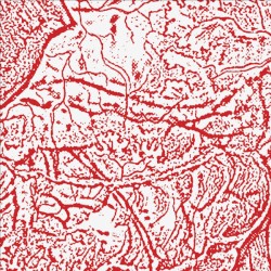 Materializing Defective Fascia