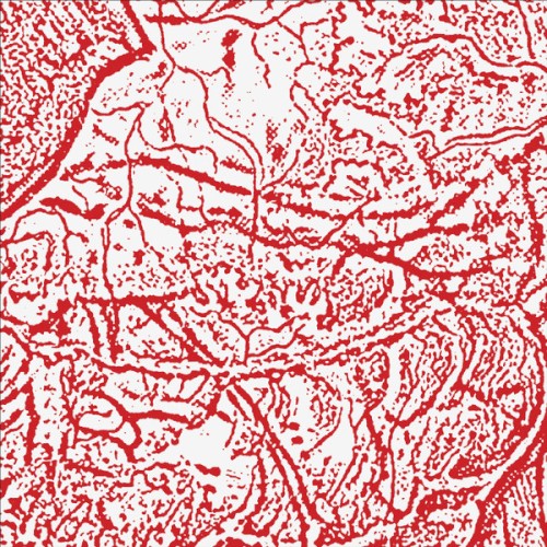 Materializing Defective Fascia