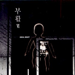 理想 시선