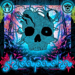 Lisergic Experience EP