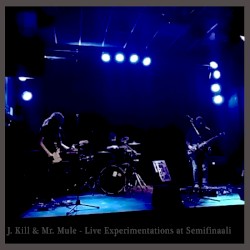 Live Experimentations at Semifinaali