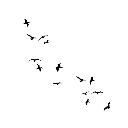 WhiteBird 1