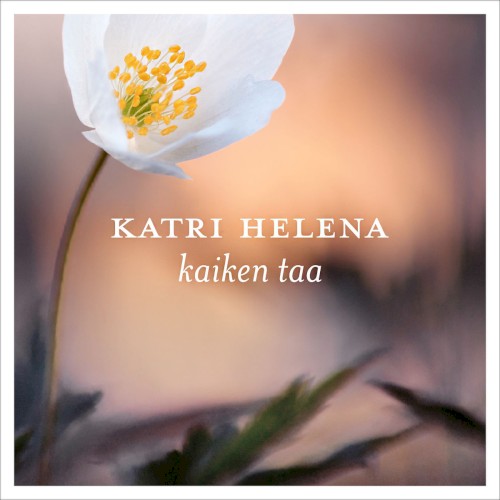 Kaiken taa
