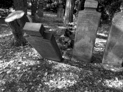 Funeral Party