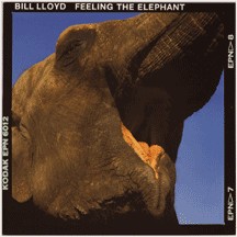 Feeling the Elephant
