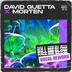 Kill Me Slow (vocal rework)