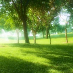 as you were dreaming, the world whispered softly (demo)