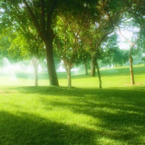 as you were dreaming, the world whispered softly (demo)