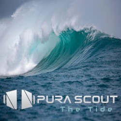 The Tide