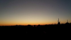 Sonoran Noir