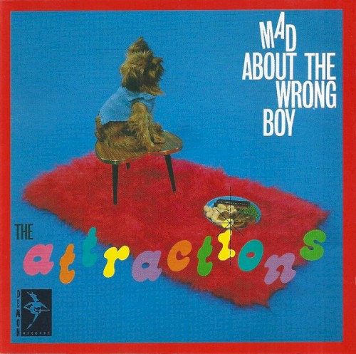 Mad About the Wrong Boy