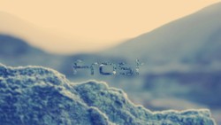Frost