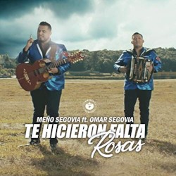 Te hicieron falta rosas