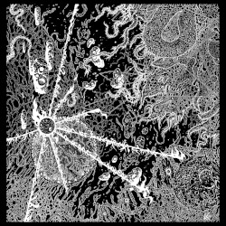 Live Vitrification