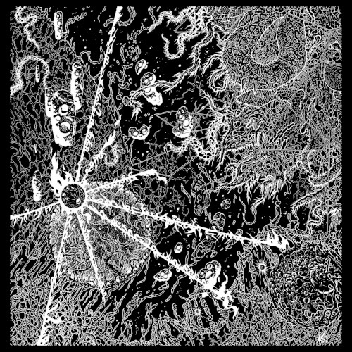 Live Vitrification