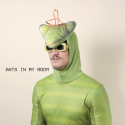 Ants in My Room