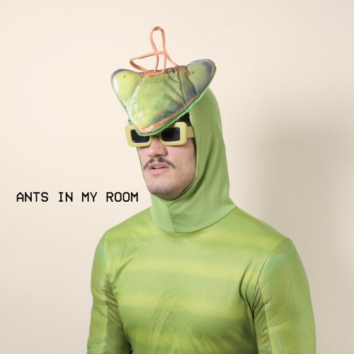 Ants in My Room
