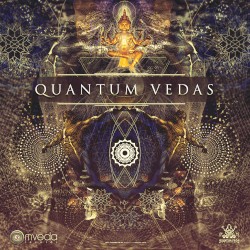 Quantum Vedas