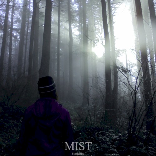 Mist