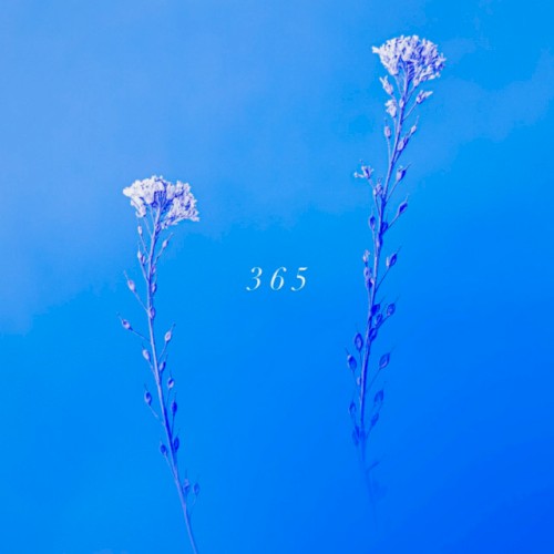 365