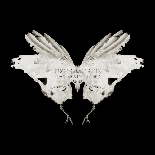 Phantasia in tenebris