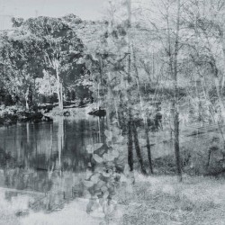 Memories, Dreams, Reflections