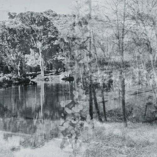 Memories, Dreams, Reflections