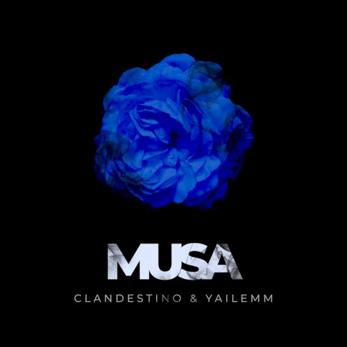 Musa