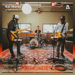 Audiotree Live