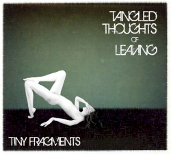 Tiny Fragments