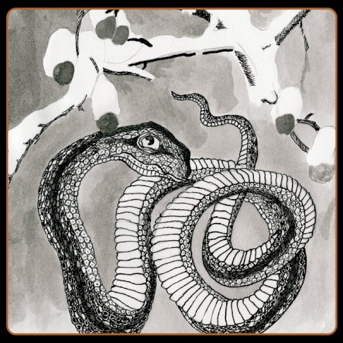 Serpent Umbrella