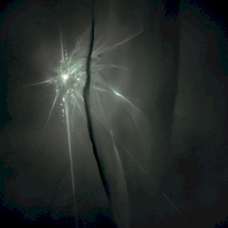 Ether