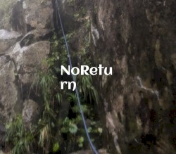 NoR. rn