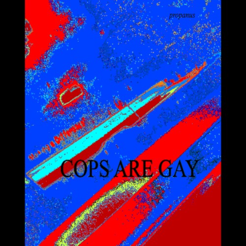 Cops are gay