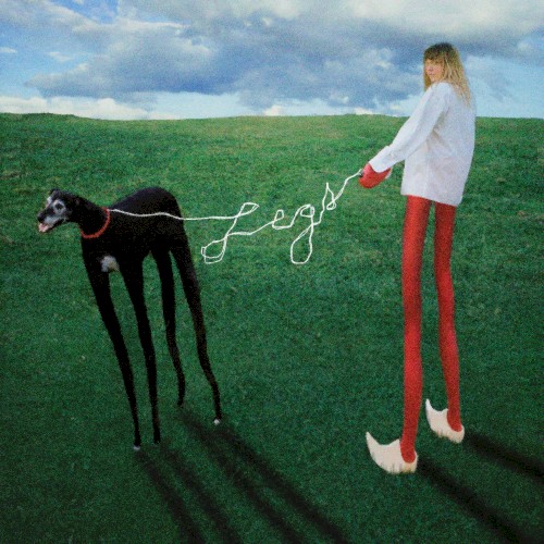 Legs