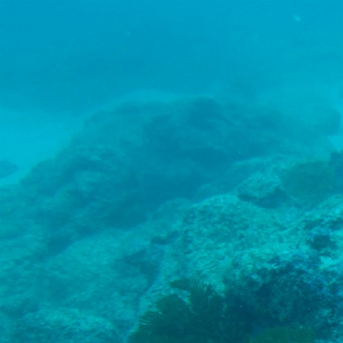 #146: We Are All Drifting Reefwards Now