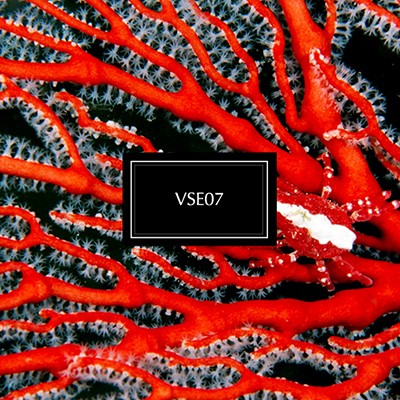 VSE07