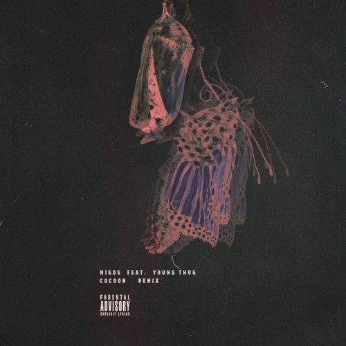 Cocoon (remix)