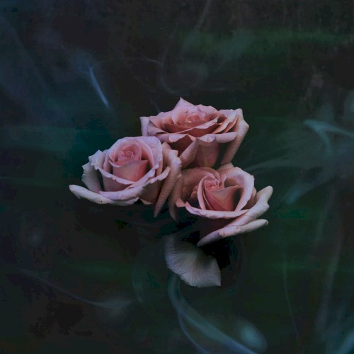 SMOKE
