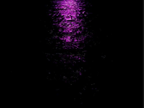 Alone on the Shore