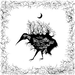 Hatching Under the Stars