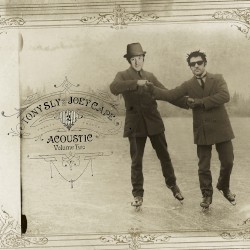 Acoustic Volume Two