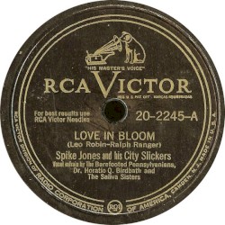 Love in Bloom / Blowing Bubble Gum